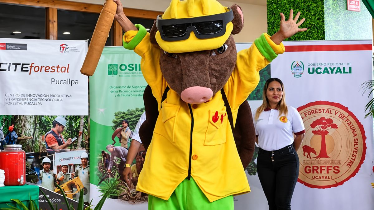Ucayali: Semana Forestal será del 1 al 7 de noviembre y piden evitar quemas por El Niño