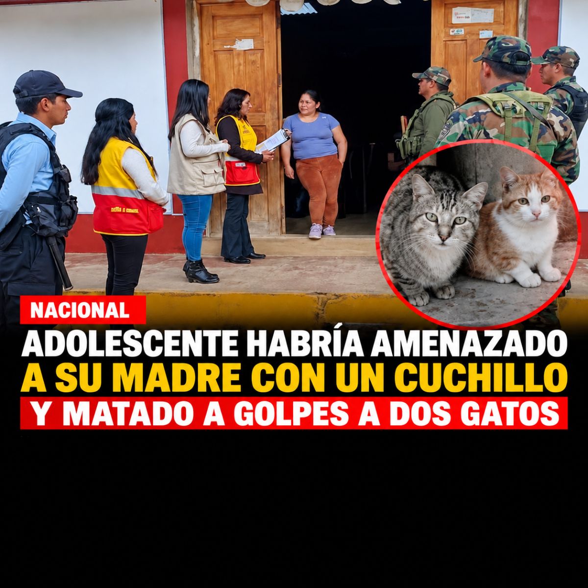 Huancavelica: adolescente denunciado por amenazar a su madre y matar a dos gatos